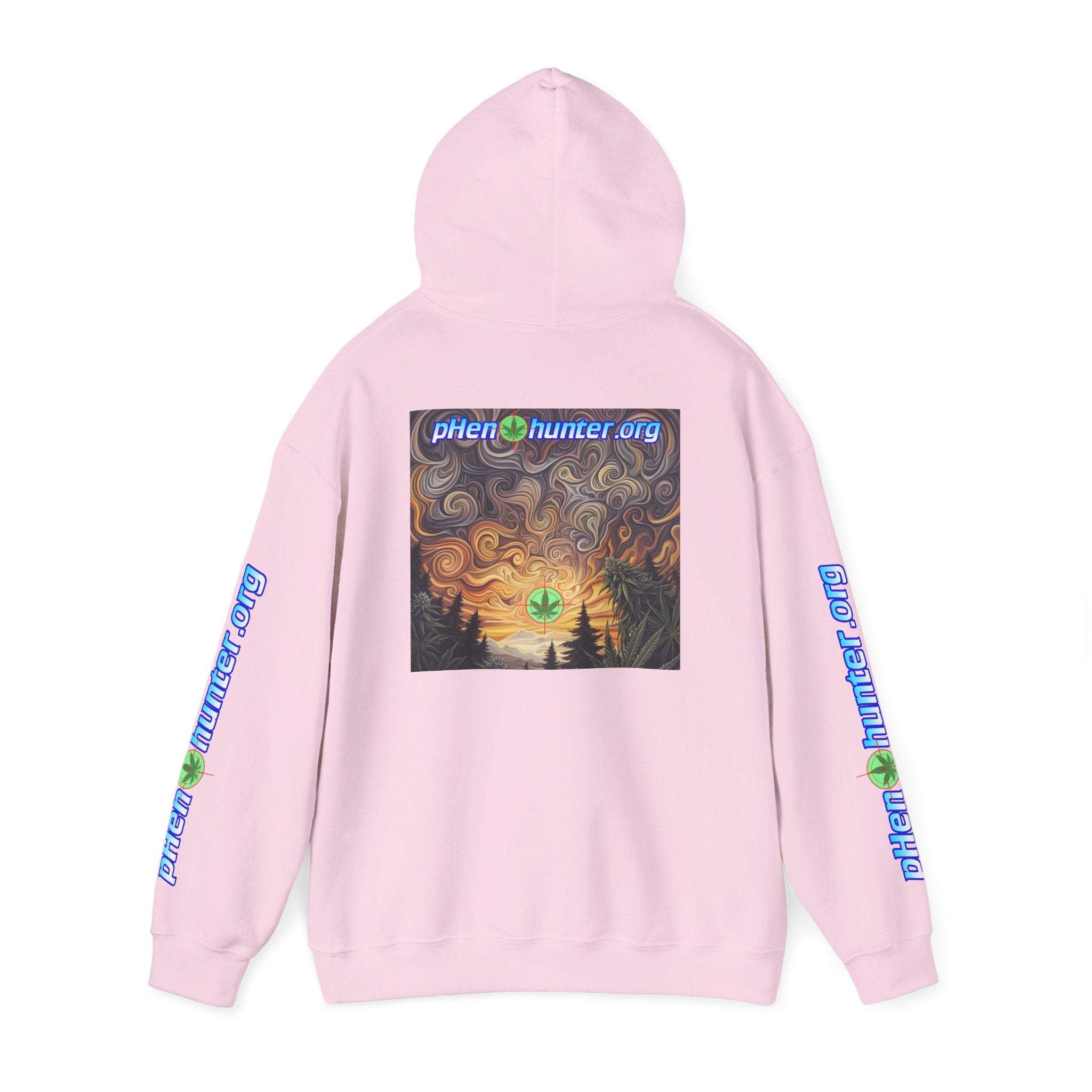 pH Psychedelic Sunset Hoodie
