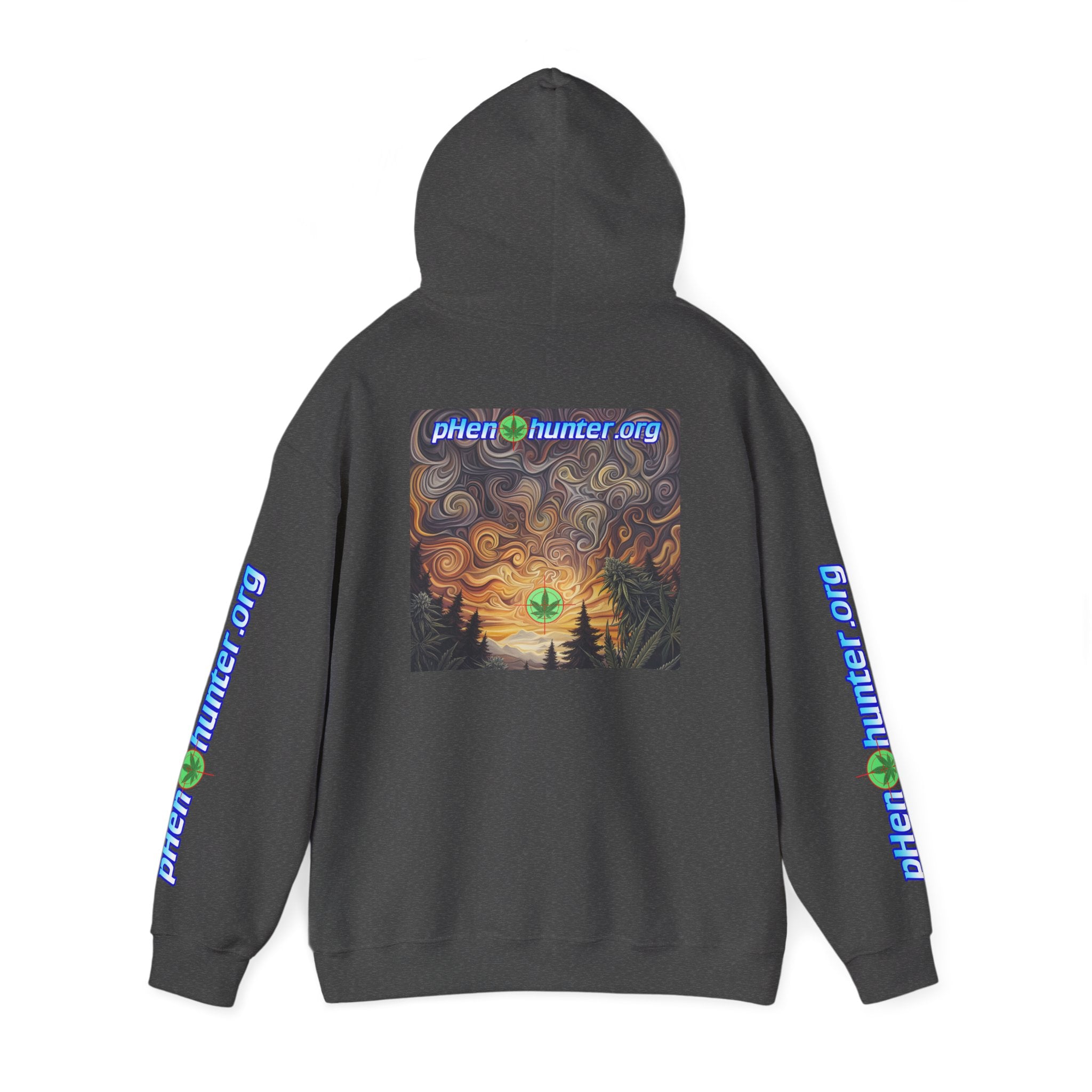pH Psychedelic Sunset Hoodie