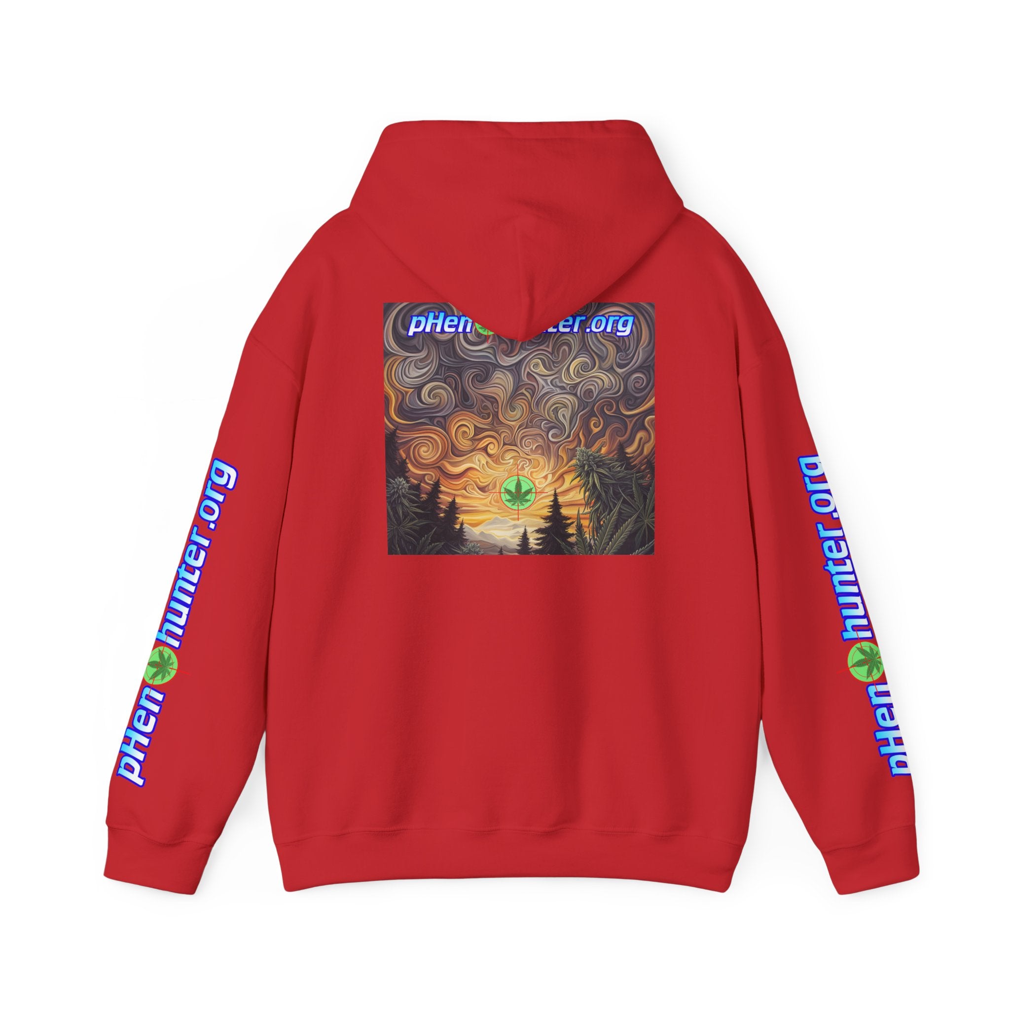pH Psychedelic Sunset Hoodie