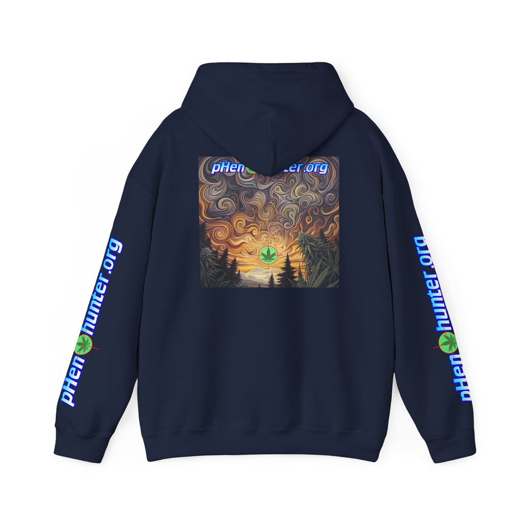 pH Psychedelic Sunset Hoodie