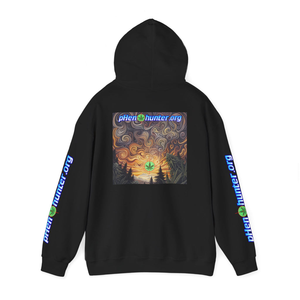 pH Psychedelic Sunset Hoodie