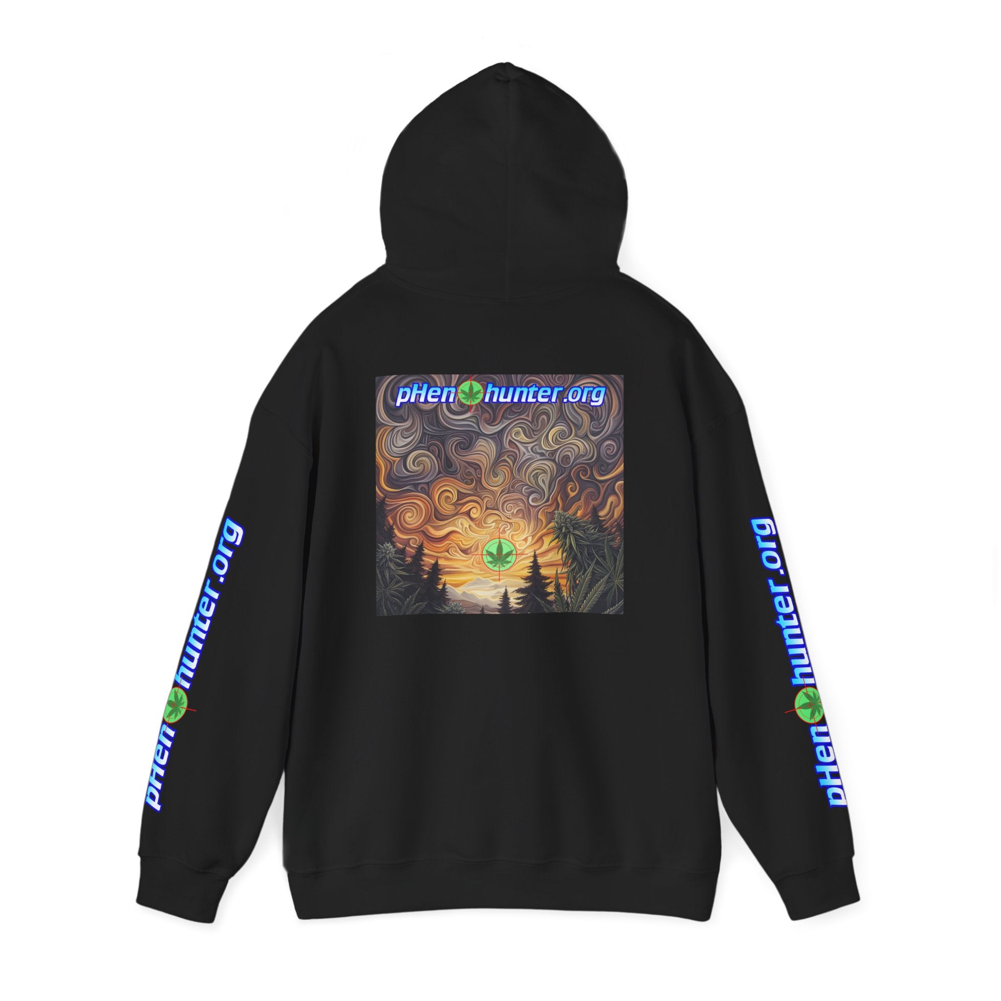 pH Psychedelic Sunset Hoodie