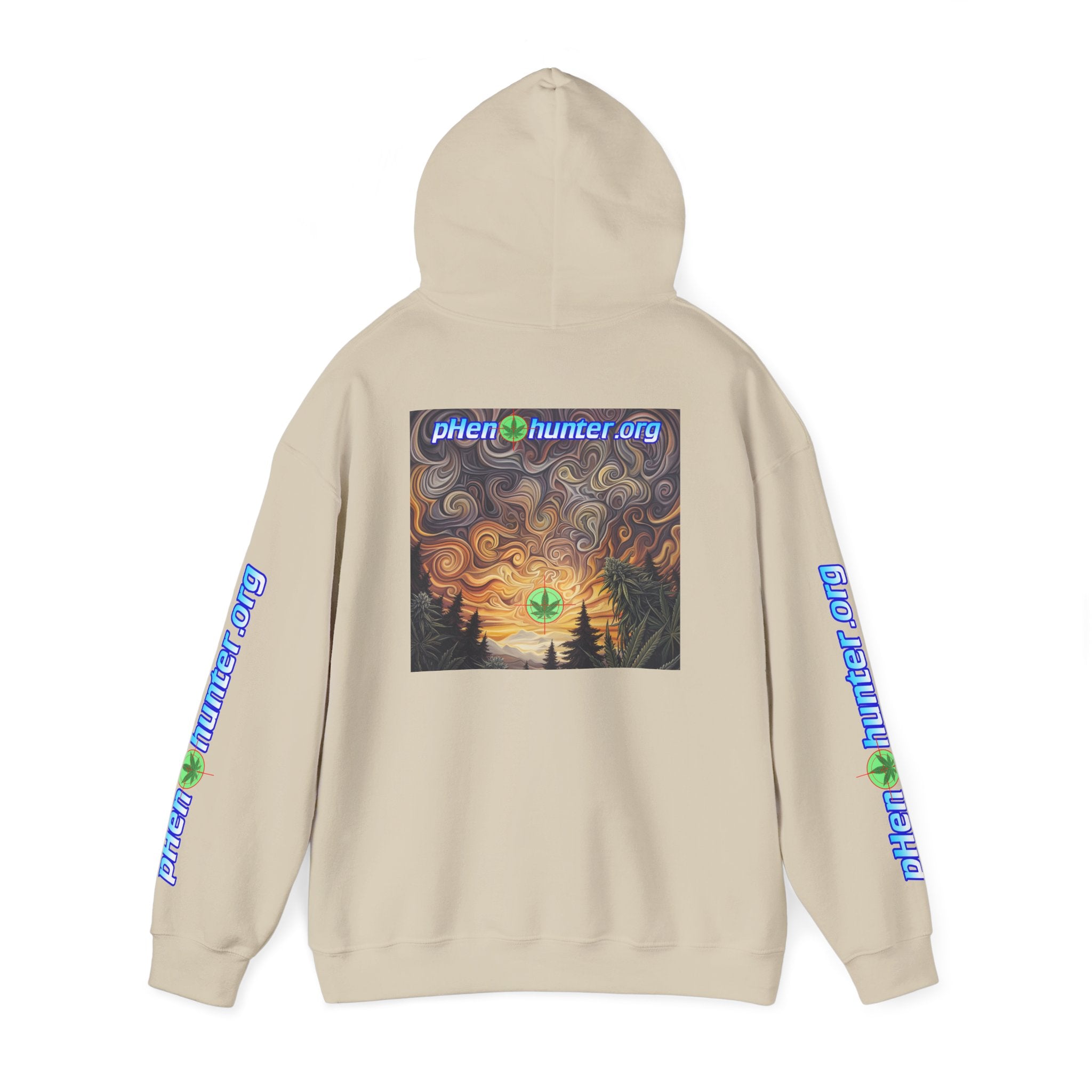 pH Psychedelic Sunset Hoodie