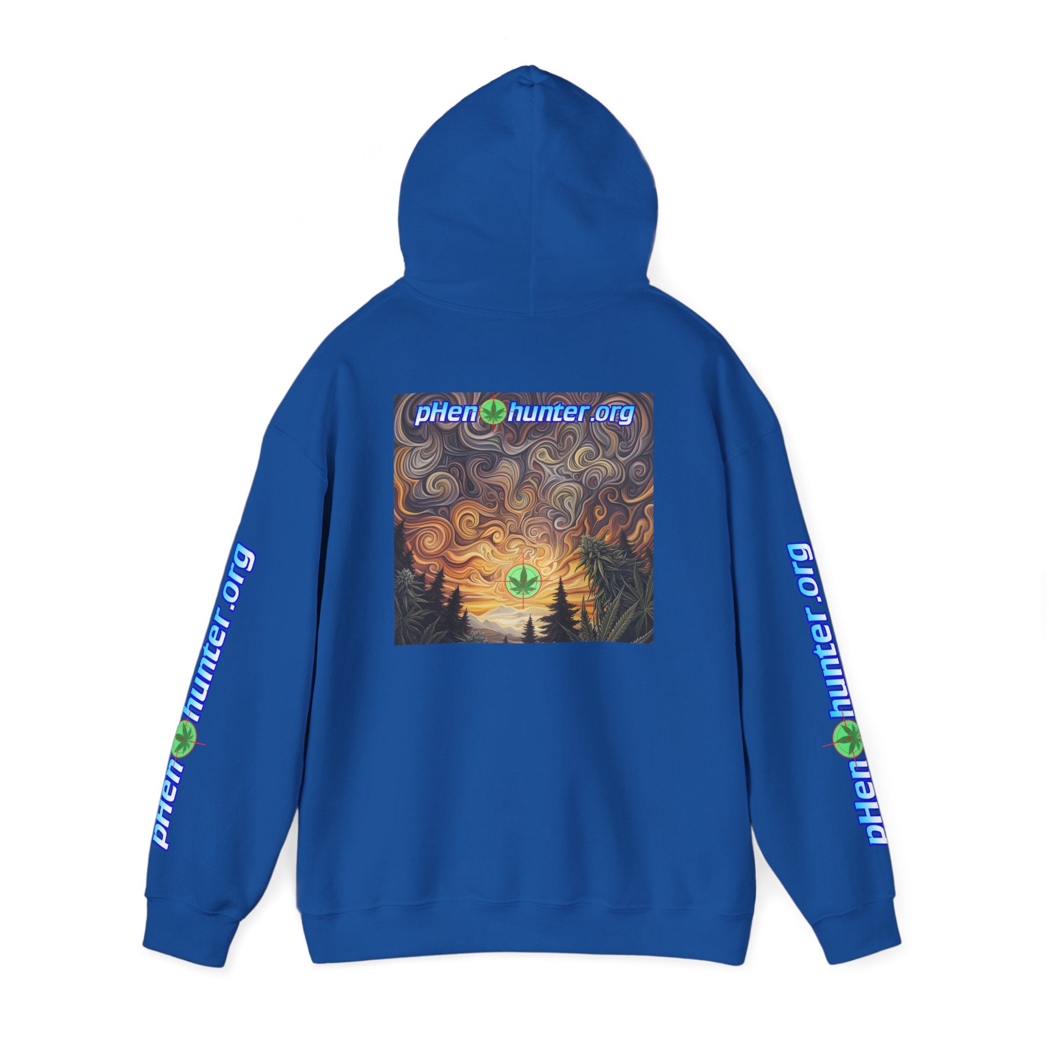 pH Psychedelic Sunset Hoodie