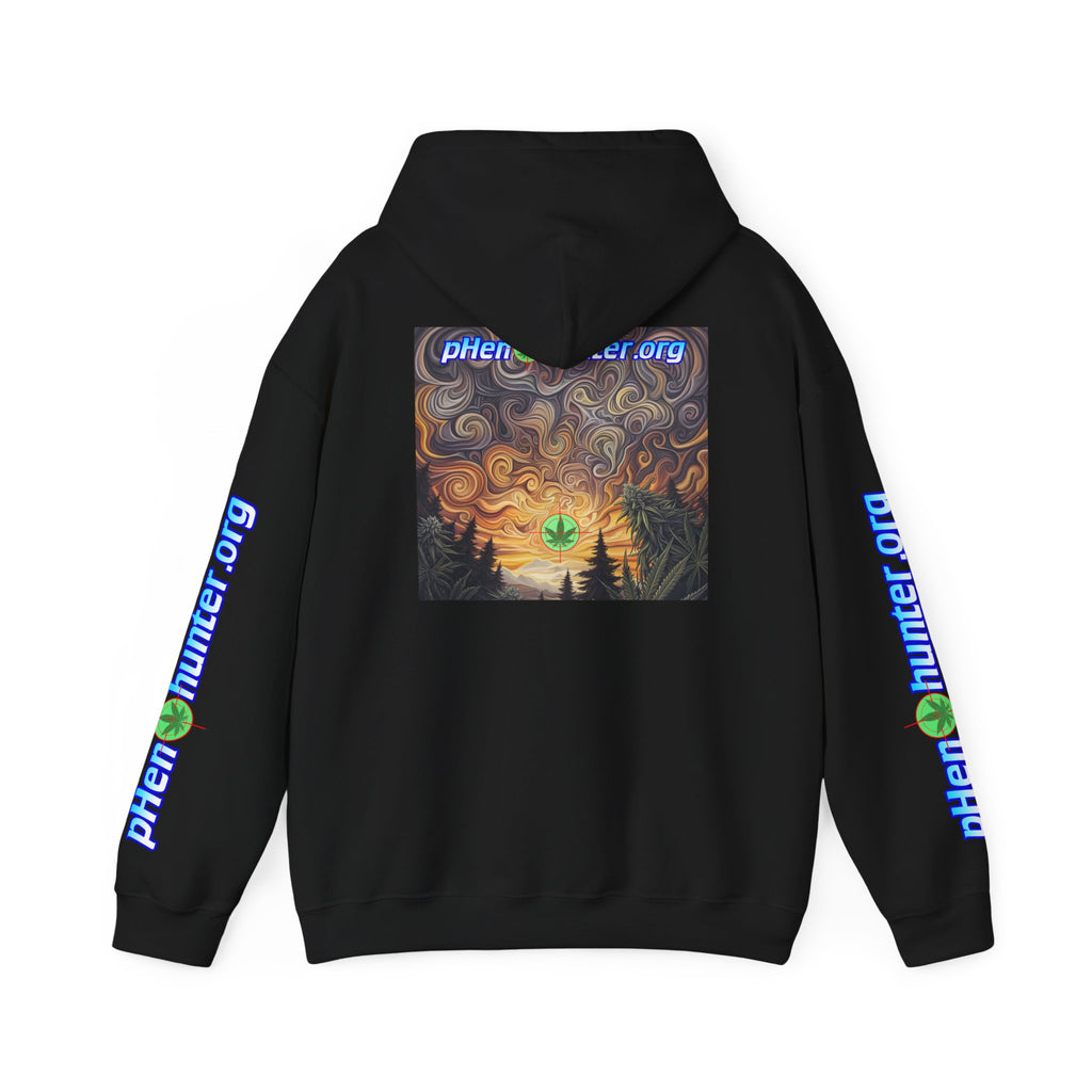 pH Psychedelic Sunset Hoodie