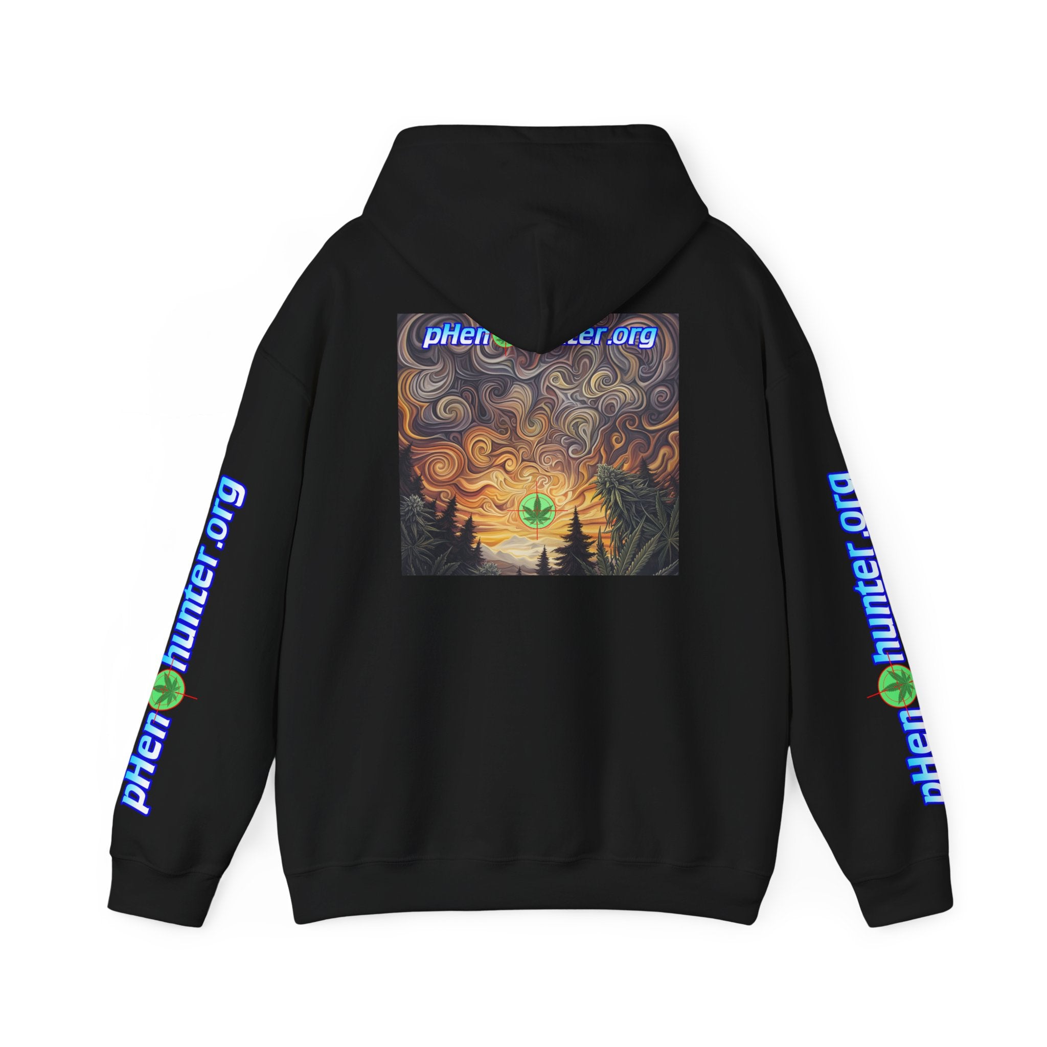 pH Psychedelic Sunset Hoodie