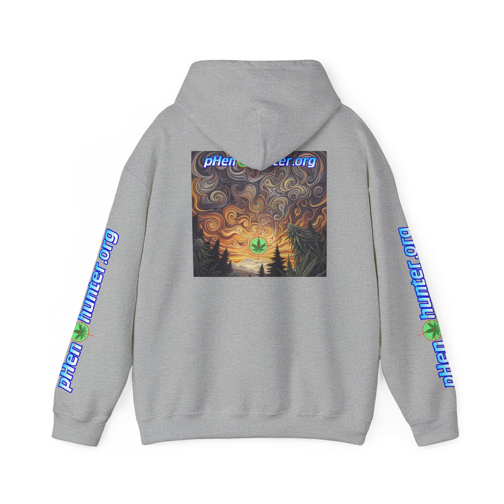 pH Psychedelic Sunset Hoodie