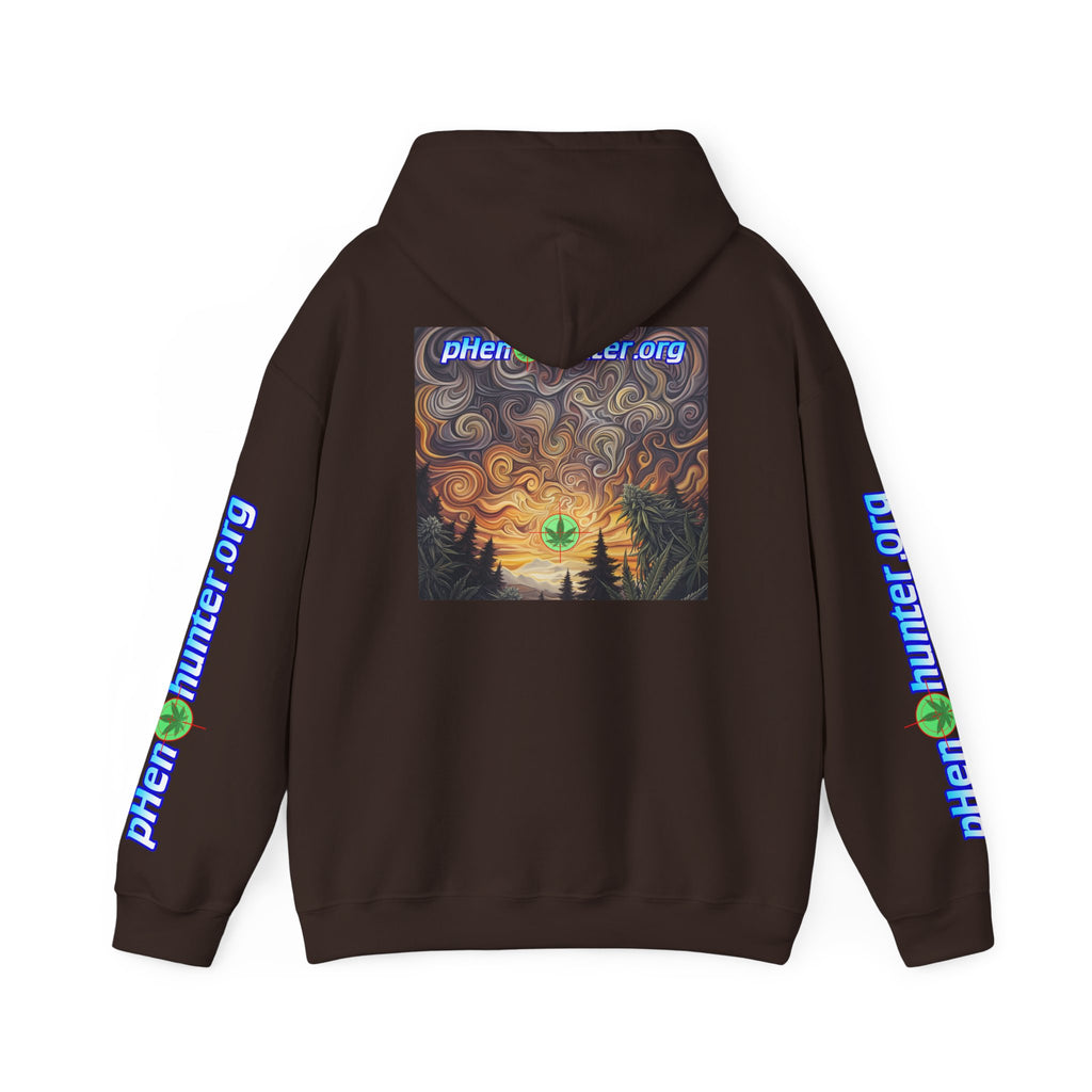 pH Psychedelic Sunset Hoodie