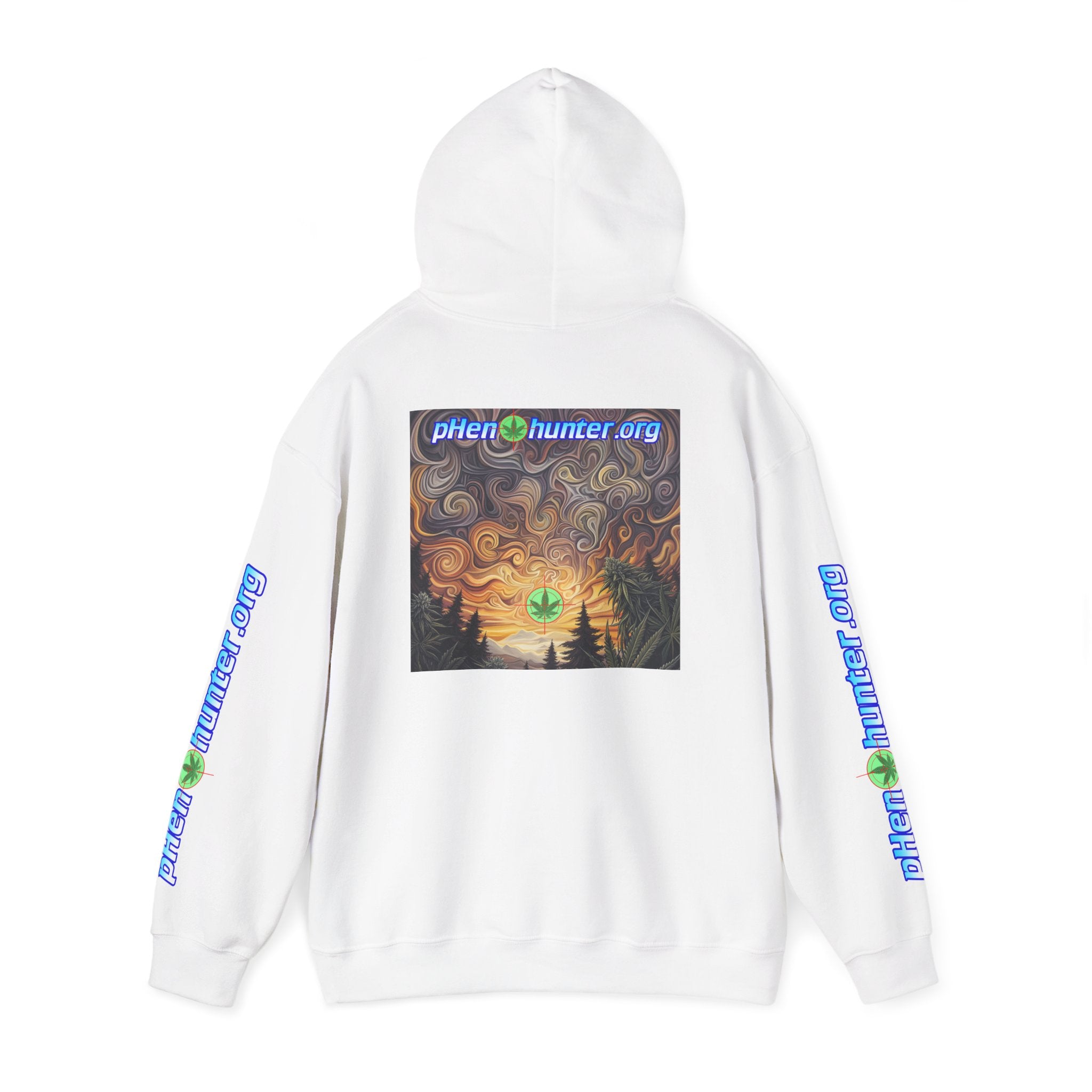 pH Psychedelic Sunset Hoodie