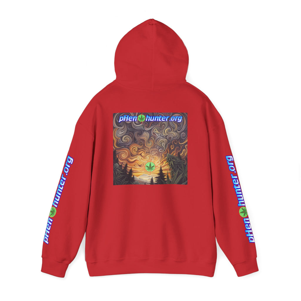 pH Psychedelic Sunset Hoodie