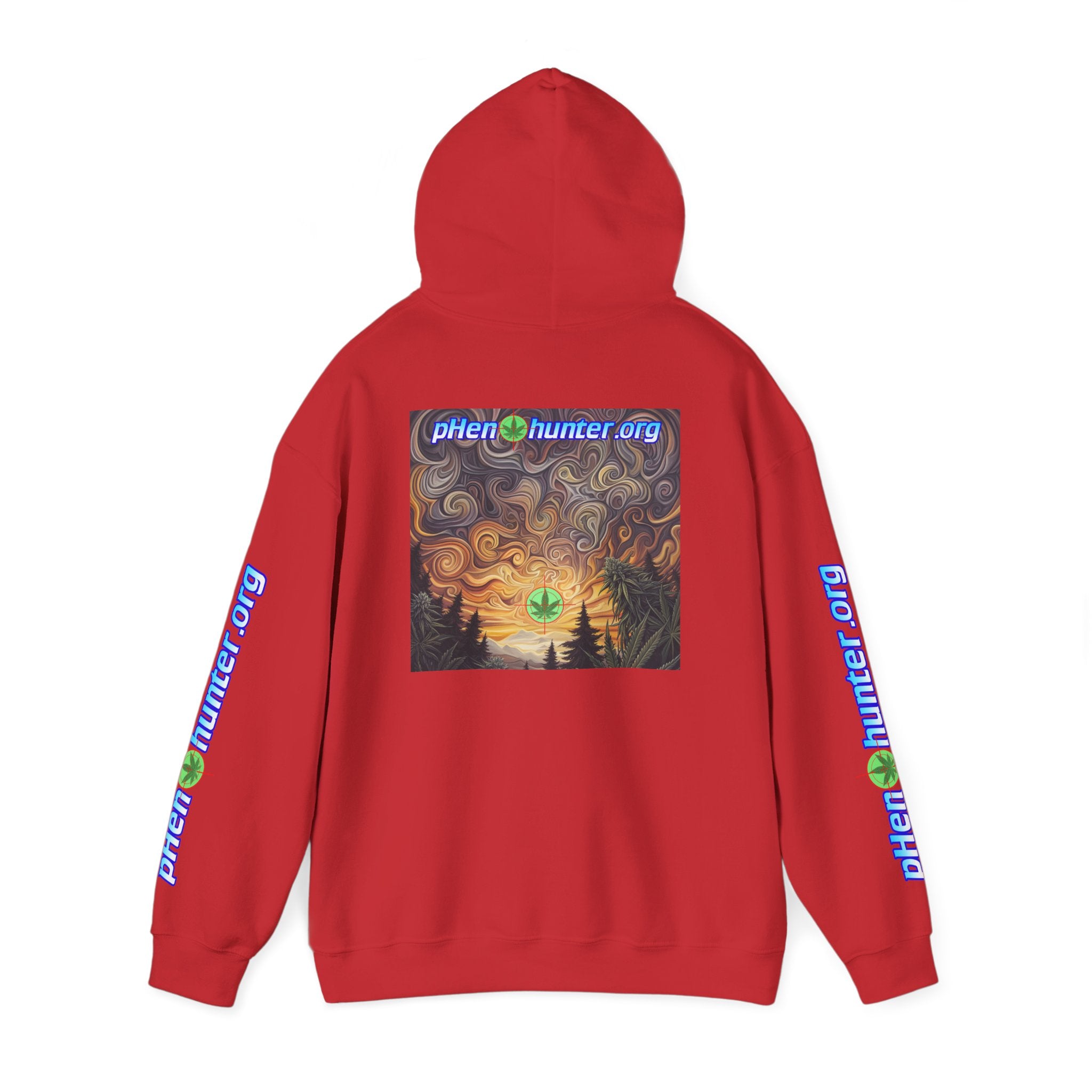 pH Psychedelic Sunset Hoodie
