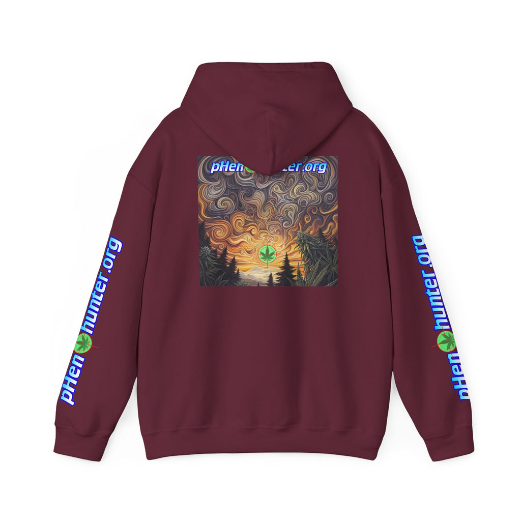 pH Psychedelic Sunset Hoodie