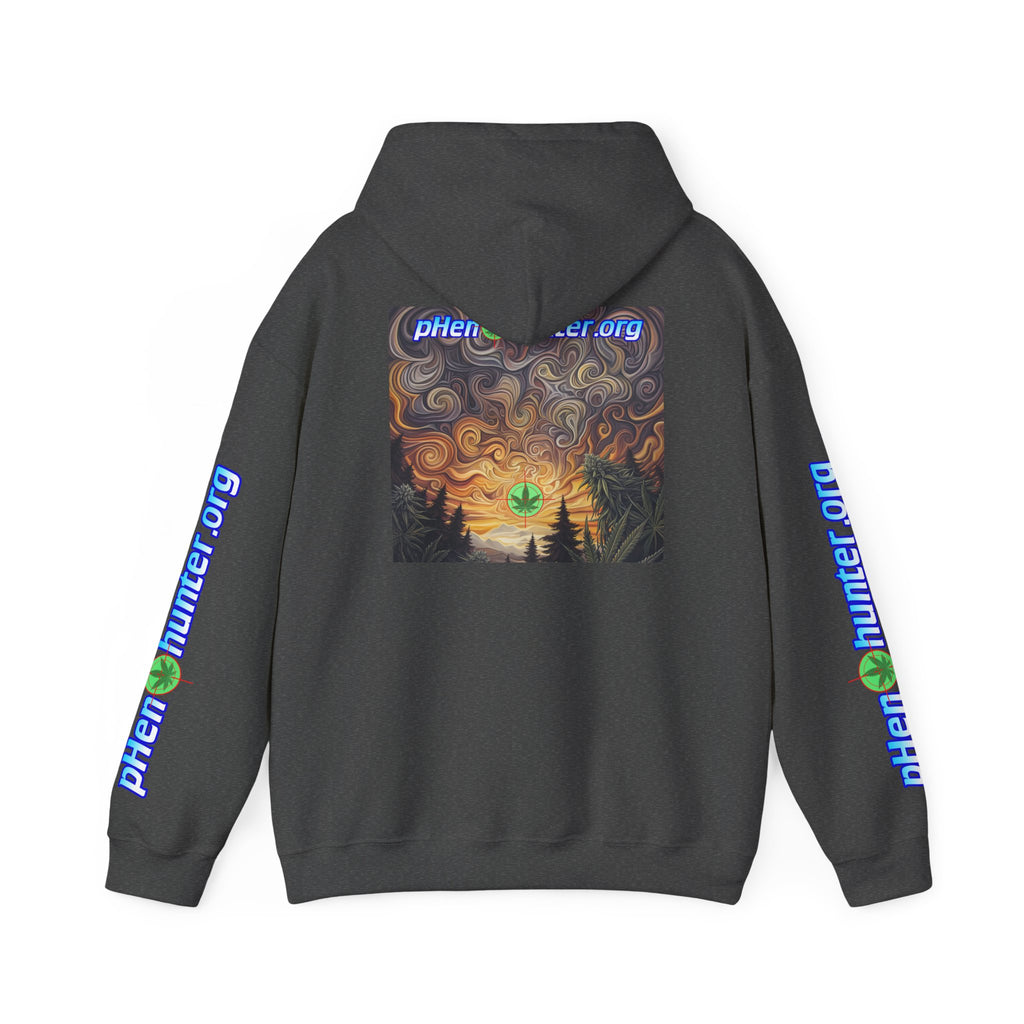 pH Psychedelic Sunset Hoodie