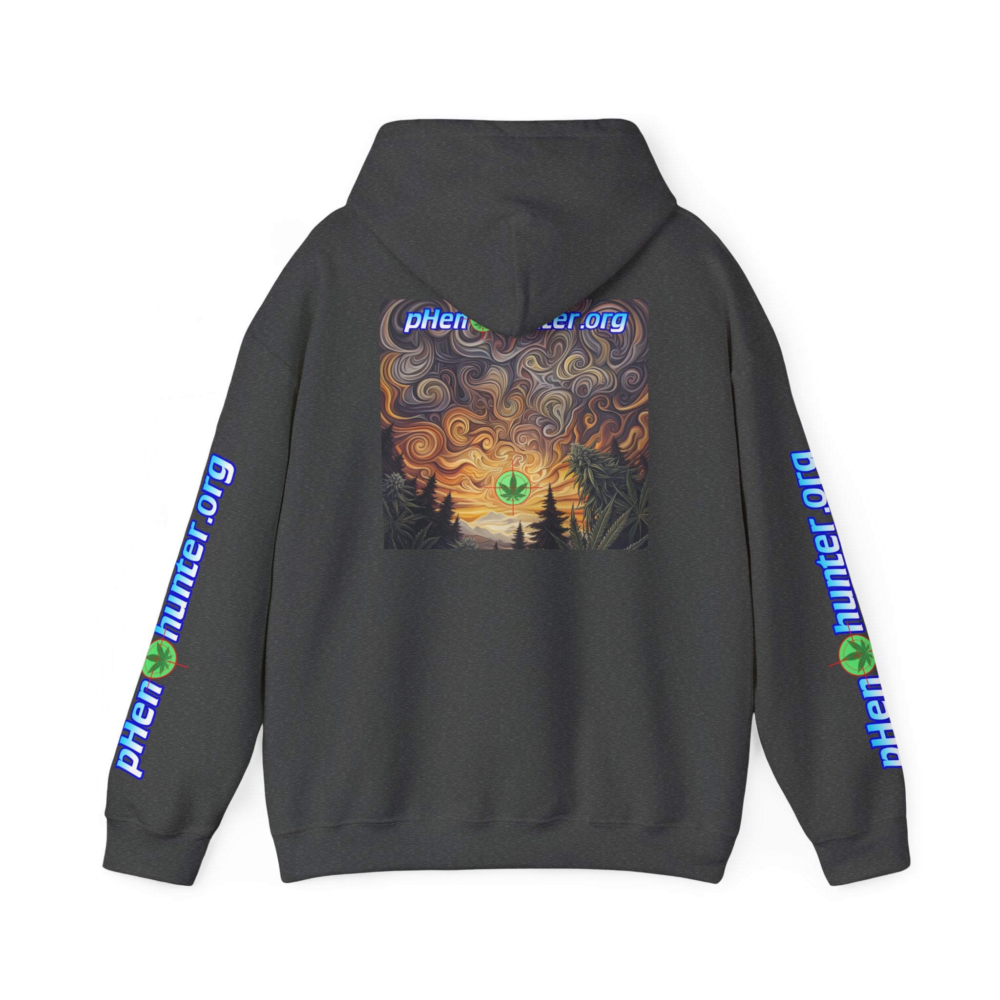 pH Psychedelic Sunset Hoodie