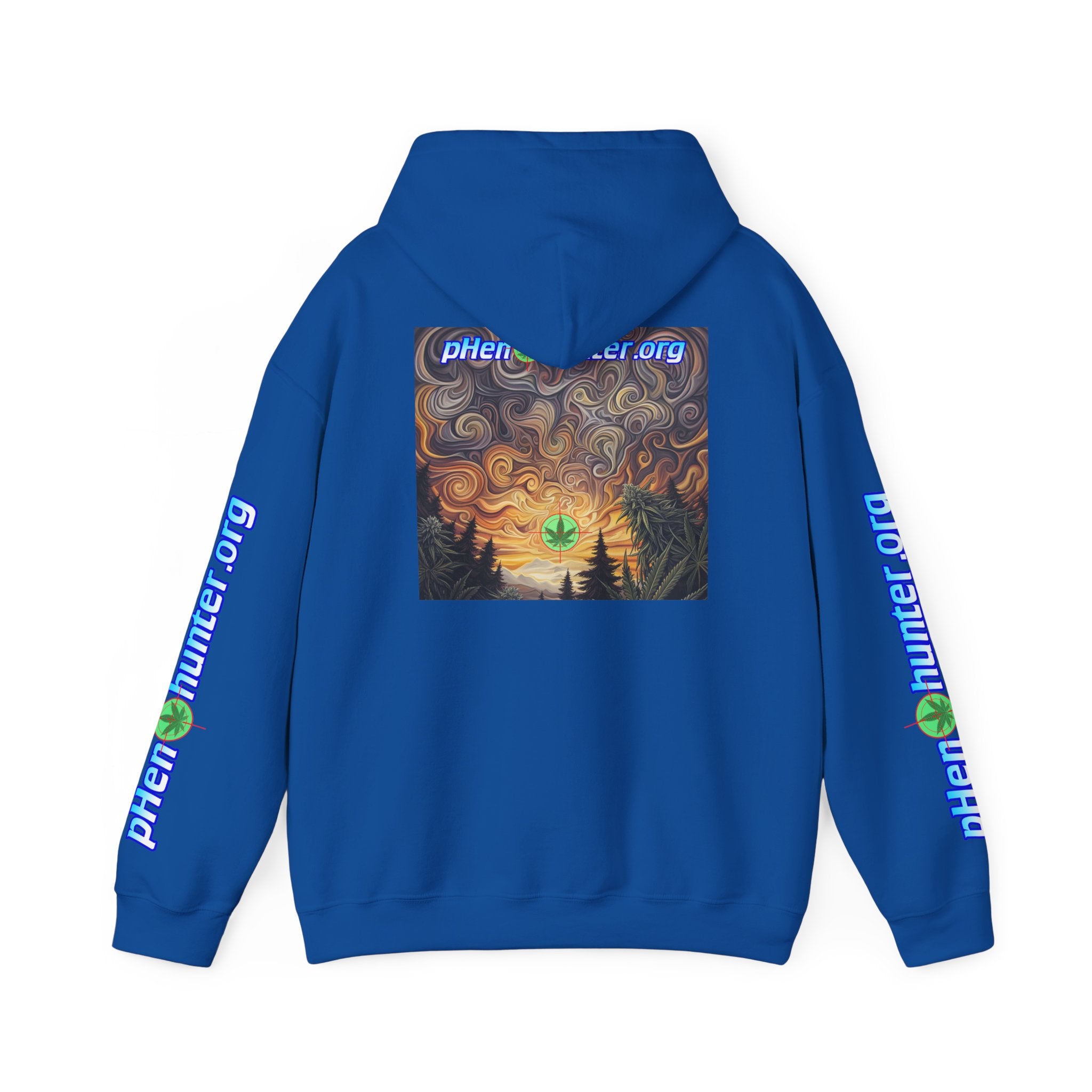pH Psychedelic Sunset Hoodie