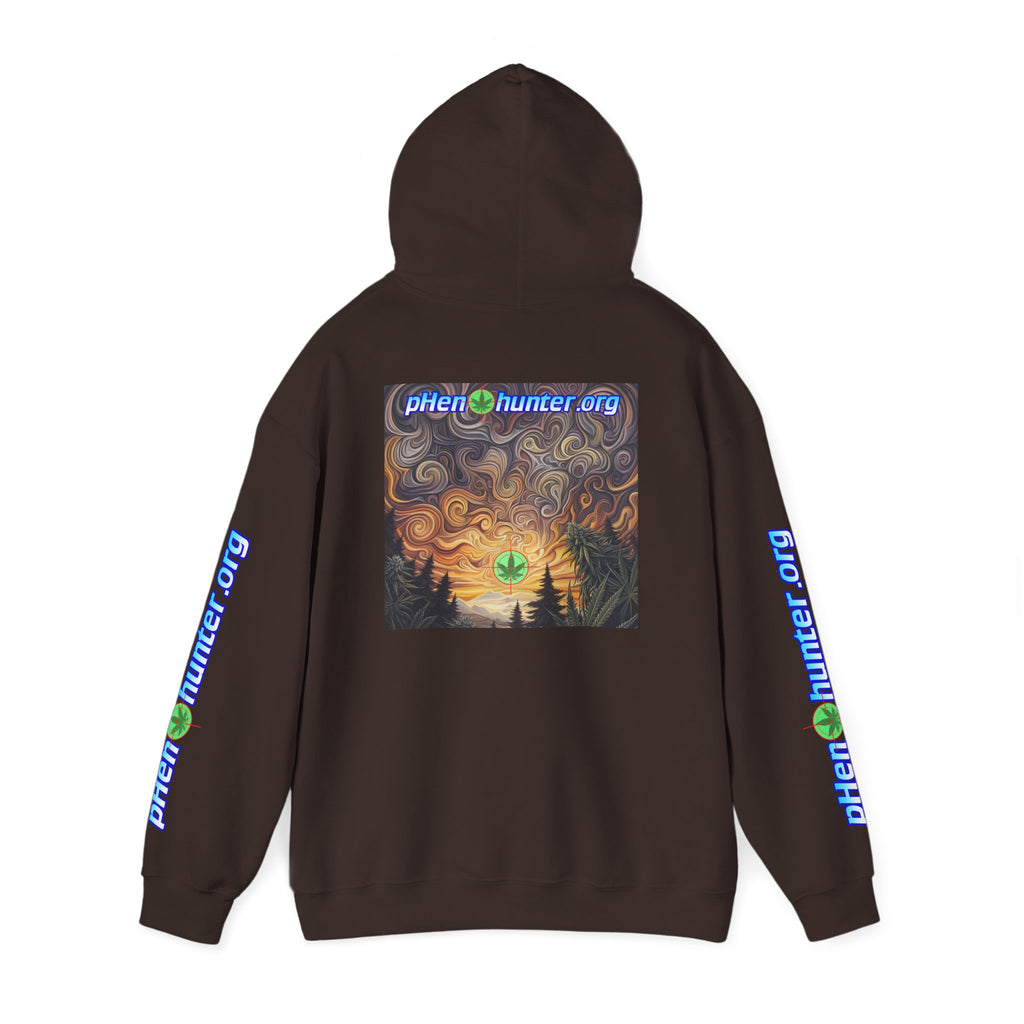 pH Psychedelic Sunset Hoodie