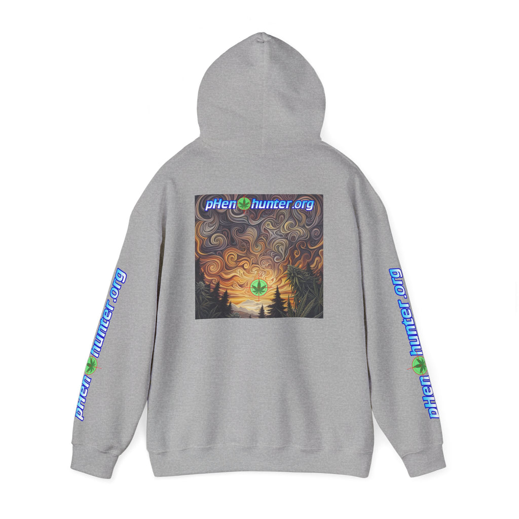 pH Psychedelic Sunset Hoodie